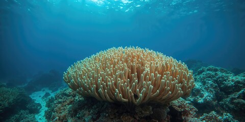 Black hair tie band used for securing hair during physical activity, emphasizing practicality and utility, World Health Day