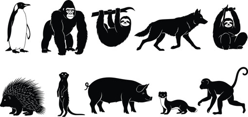 Naklejka premium Animal silhouette icon set, black vector wildlife poses, penguin gorilla sloth wolf pig monkey meerkat porcupine ferret illustrations