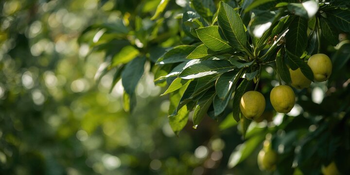 Colorful abstract background with rays, suitable for text layout or graphic design projects