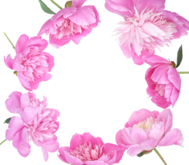 Delicate circular floral frame made of lush pink peony blossoms arranged around the edges on a transparent background, leaving generous central copy space for text, greeting cards or wedding designs.