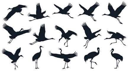 Obraz premium A comprehensive set of sixteen black silhouettes showing Japanese cranes in a wide variety of flying landing standing and dancing poses.