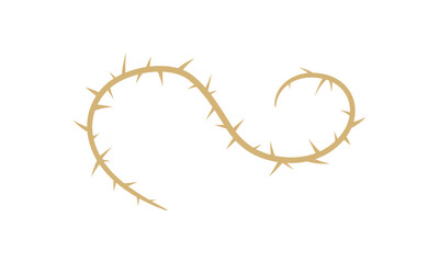 Vector illustration of a winding thorny branch, a clean and sharp design element symbolizing difficulty, resilience, and natural defense