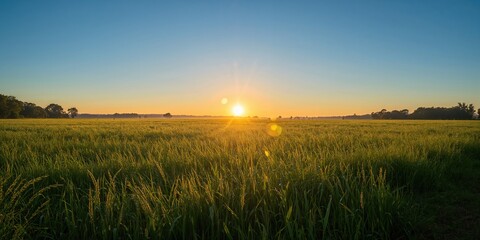 Cyber security data processing scene focused on network protection, urban environment at night, emphasizing digital safety awareness