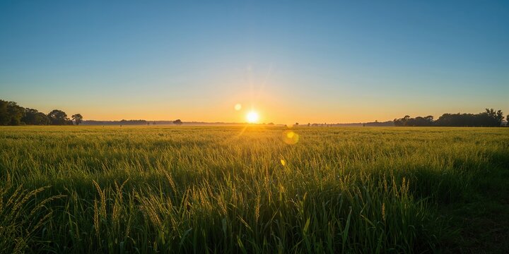 Cyber security data processing scene focused on network protection, urban environment at night, emphasizing digital safety awareness