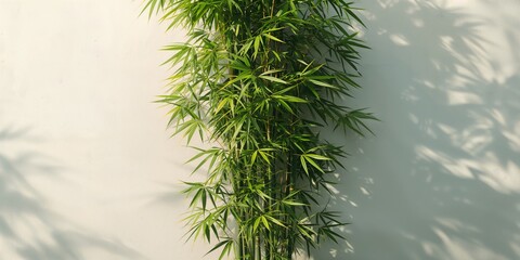 Group of elderly Asian women sharing laughter over afternoon tea indoors, emphasizing social bonding and leisure
