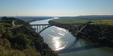 Colorful butterflies resting on flowers during summer, emphasizing natural beauty