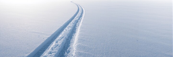 Obraz premium Herbal mint tea in a clear glass on a bamboo tray with fresh mint leaves and flowers, used as a natural beverage for health awareness day