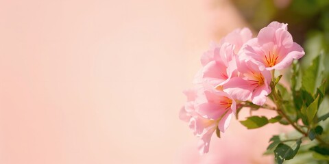 Realistic leopard fur texture used for textile design, emphasizing natural animal patterns