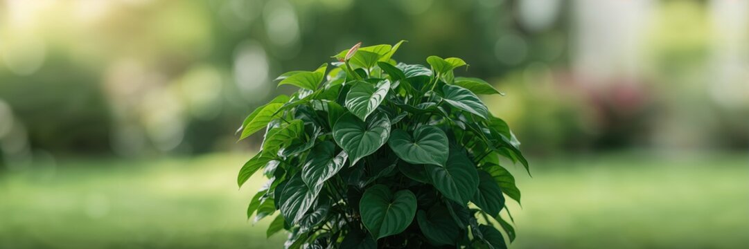 Close-up of a hand holding a chocolate ice cream bar with a geometric pattern, used as a library background, food safety focus - Powered by Adobe