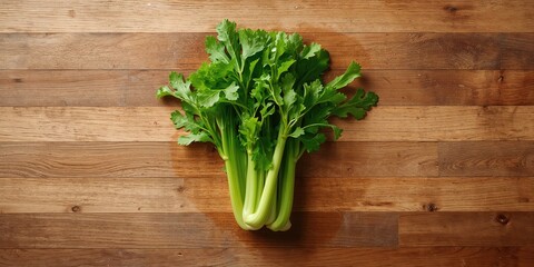 A hidden storage space in a bunker beneath the surface, used for secure concealment, Earth Day