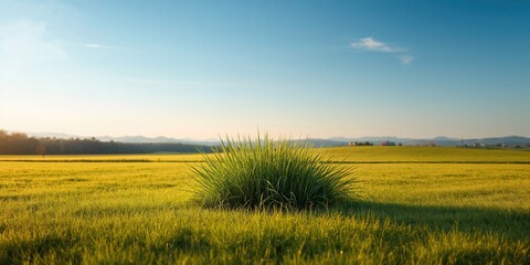 Close up of a pro skateboarder performing a jump on a wooden bench in a park during sunny autumn morning, emphasizing skill and balance