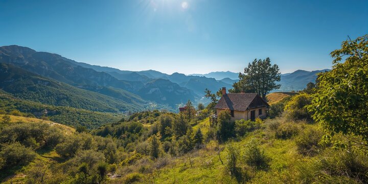 Close-up of a Mantis on a rock background during summer, emphasizing insect camouflage in natural environments