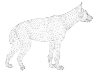 Hyena wireframe model composed of geometric shapes and lines on a white background. This detailed vector illustration creates a realistic animal structure for design projects.