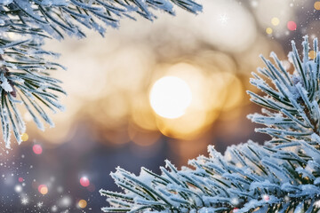 Snowy Pine Frame with Sunlight and Colorful Bokeh Glow