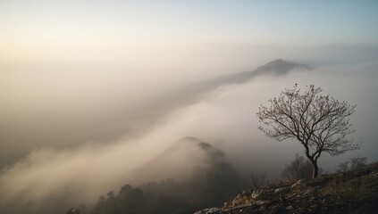 Fototapeta premium Spring morning scene on a mountain summit shrouded in rolling fog, suitable for background or layout design