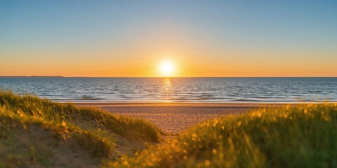 Beagle dog seated inside a vehicle, emphasizing pet travel safety and vehicle interior design