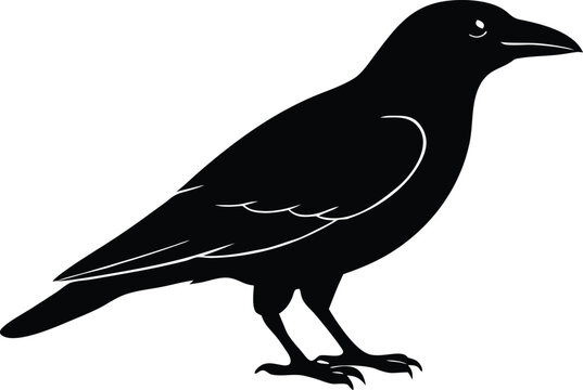 Simple crow bird icon. Flying black rook vector silhouette.
