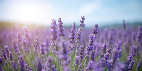 Rear view of a formally dressed businessman wheeling a trolley suitcase through a lobby, engaging in mobile phone conversation, business travel scene