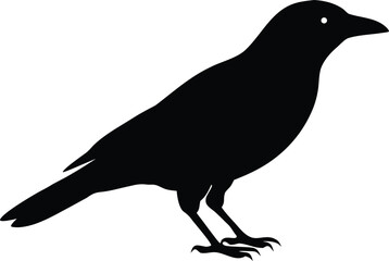 Obraz premium Simple crow bird icon. Flying black rook vector silhouette.