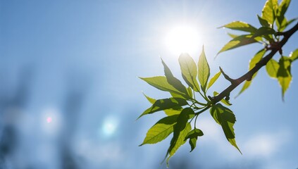 Obraz premium Bright green chestnut leaves against a blue spring sky, seasonal foliage for botanical background