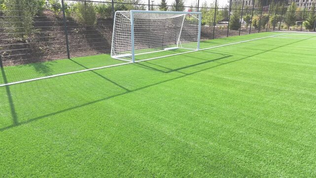 A soccer field with a goal and a fence. The grass is green and the fence is black