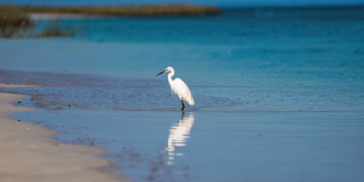 Technology background with a focus on business intelligence, supporting data analysis and decision-making processes