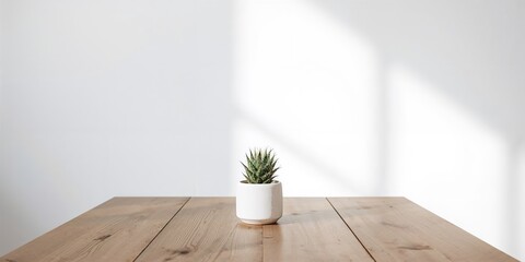 Field of red tulips used as a vibrant floral background for text and layout, spring celebration