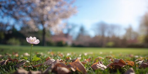 Homemade nachos with cheese and meat on a white plate, serving as a food background for layout or menu design