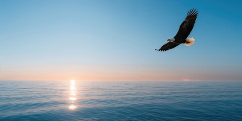 Colorful macaw parrot perched on a branch, emphasizing vibrant plumage for educational displays
