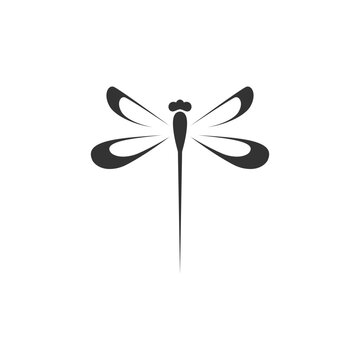 Dragonfly logo design with style and creative concept