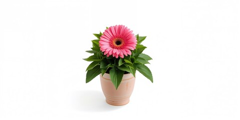 Science fiction wallpaper featuring deep space with distant stars and nebulae, suitable as a background for digital interfaces