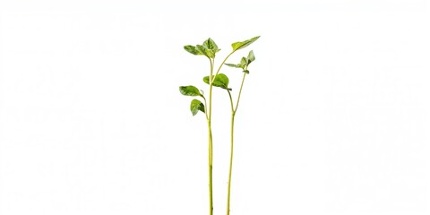 Molecular structures and DNA strands over data visualization, emphasizing scientific research and digital analysis, Earth Day