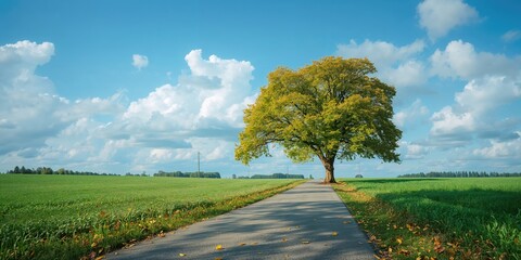 Asian couple in financial distress calculating expenses and facing debt and bankruptcy, emphasizing financial hardship and stress during economic crisis