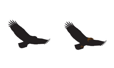 Obraz premium Two eagles flying silhouette with adobe illustrator logo