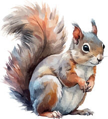 Realistic Squirrel Animal Vector Watercolor Illustration