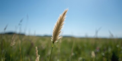 Colorful stationery including notebooks and sticky notes arranged on a background, suitable for layout and design projects
