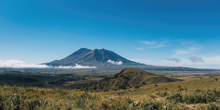 Carpenter operating a sander on wood surface, focusing on efficiency during woodworking project