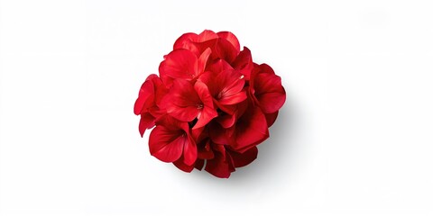 Pancakes topped with fresh berries, ideal for breakfast or brunch, Pancake Week