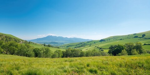 Naklejka premium Fashionable young woman standing among tall wheat in bloom, emphasizing seasonal agricultural landscape