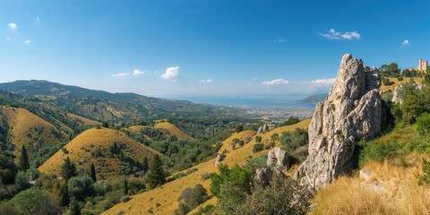 Naklejka premium Nepenthes with its vibrant colors and patterns used as garden decoration, emphasizing ornamental plant care