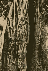 Naklejka premium Vector banner with a realistic tree, banyan or ficus, with roots and branches in a gothic style. Scary, magical, fairytale like, and mystical. Suitable for Halloween party design. No ai