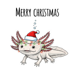 Cute Axolotl Wearing Santa Hat and Christmas Lights.