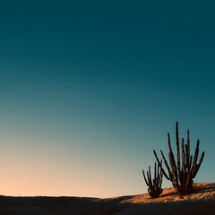 Silhouetted cacti on sand dunes at golden hour light, desert landscape, warm tones, dramatic shadows, minimalist composition, vector illustration