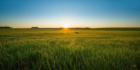 Glass of champagne on white background used as a layout background for text or design elements, neutral setting