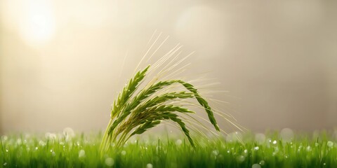 Obraz premium Crinkled polyethylene film surface used as a background for industrial design projects