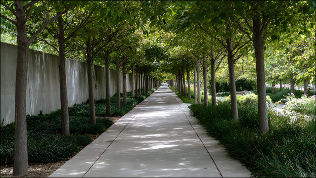 A tree-lined walkway where greenery contrasts sharply with the smooth linear concrete path - Powered by Adobe