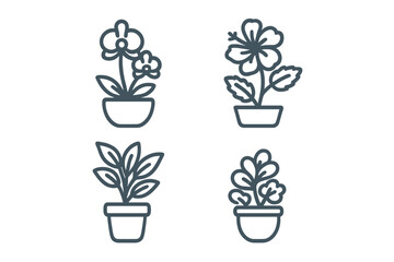 Collection of potted house plants and flowers including orchid and hibiscus symbols