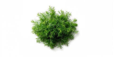 Fototapeta premium Small easel holding a blank canvas in a studio setting, suitable for layout design or artwork display