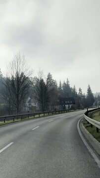 video vertical en el que se observa desde un veh&iacute;culo como se circula por una carretera entre arboles