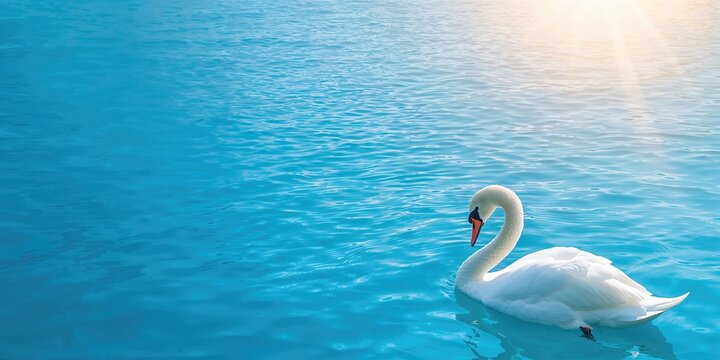 Empty soccer field in a football stadium, emphasizing spatial layout for event planning